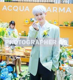 灿烈姐姐爆料了吗视频下载,揭秘娱乐圈幕后故事